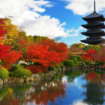 【第230回】東京、大阪、京都で個別相談会を承ります（5000円）。【9/12〜10/5】